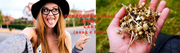 сатива Алексин