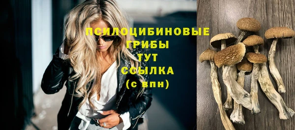 дмт Алзамай