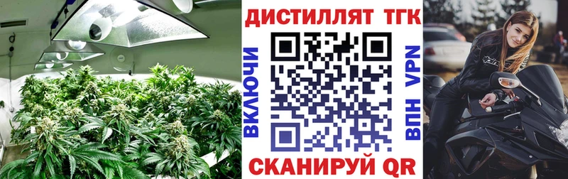 кракен ONION  Павловская  ТГК гашишное масло  закладка 